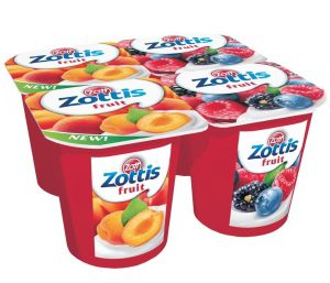 ZOTT森林水果優格460g